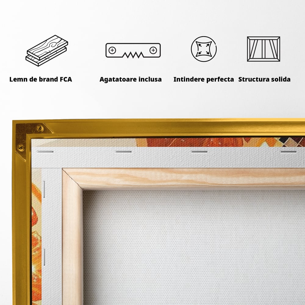 Spatele produsului, cu sasiu din lemn, capse metalice si agatatoare